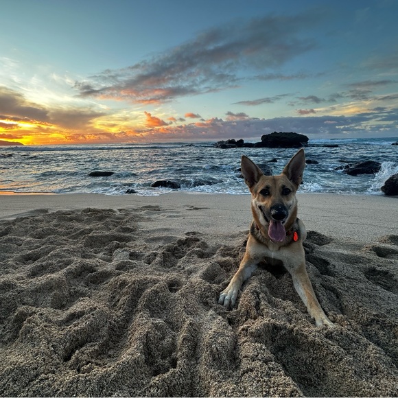 Meet your Posher, Pey - Picture 6 of 7